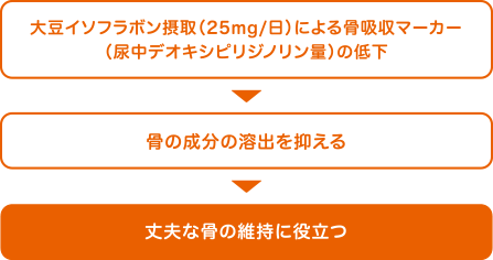 大豆イソフラボン摂取（25mg/日）による骨吸収マーカー（尿中デオキシピリジノリン量）の低下f→骨の成分の溶出を抑える→丈夫な骨の維持に役立つ